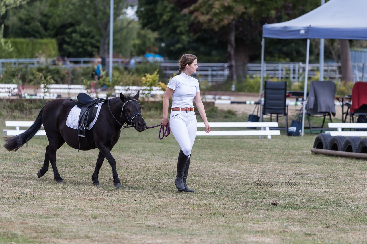 Bild 3 - Pony Akademie Turnier